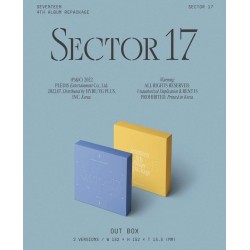 Sector 17