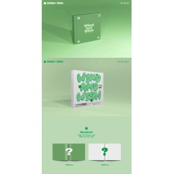 BTOB - WIND AND WISH (12TH MINI ALBUM)